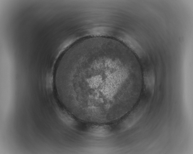 X0000111530488200907211247