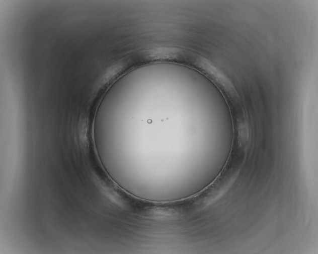 X0000111530490200907211247