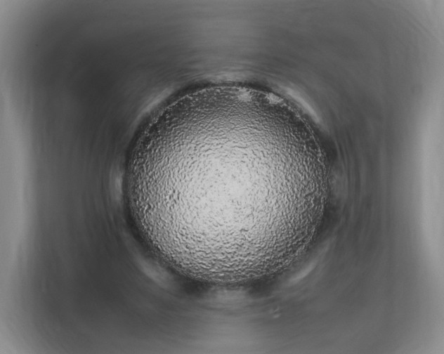 X0000111530491200907211247