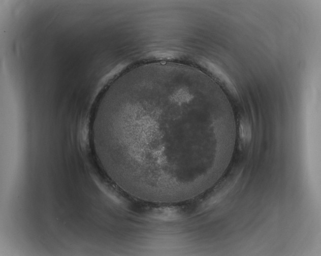 X0000111530492200907211247