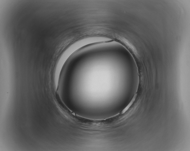 X0000111530493200907211247