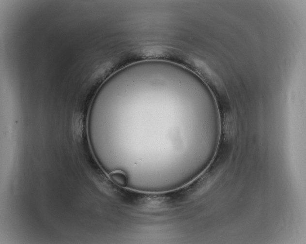 X0000111530495200907211247