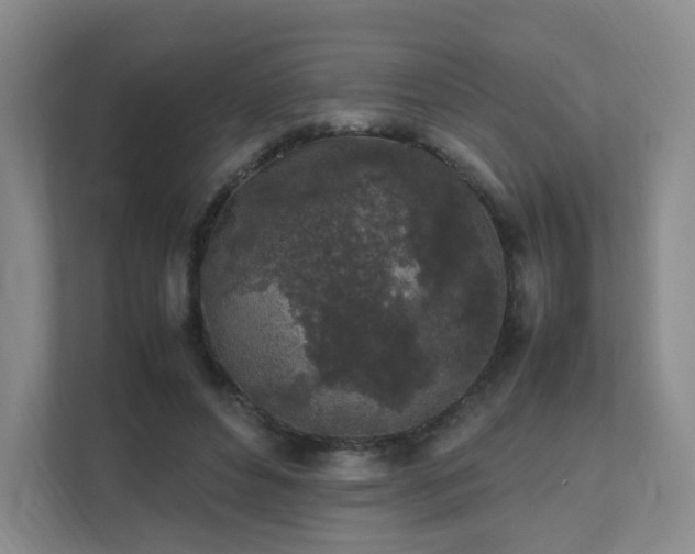 X0000111530496200907211247