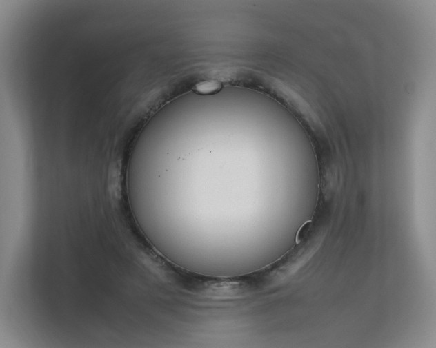 X0000111530497200907211247