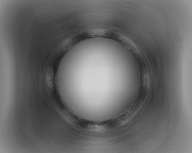 X0000111530498200907211247