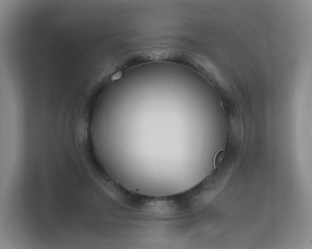 X0000111530499200907211247