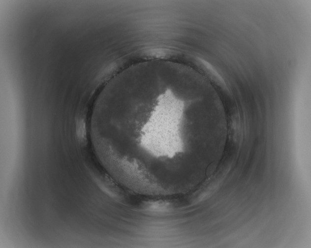 X0000111530500200907211247