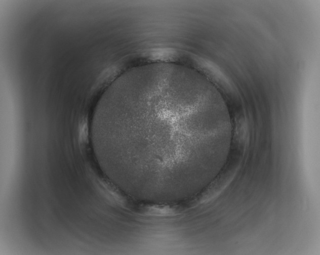 X0000111530502200907211247