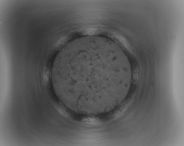 X0000111530503200907211247