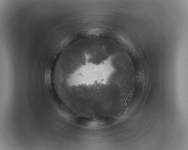 X0000111530504200907211247