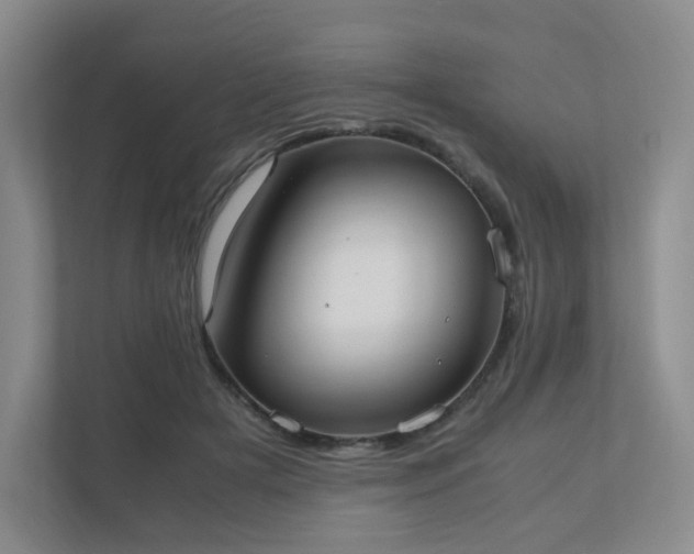 X0000111530505200907211247