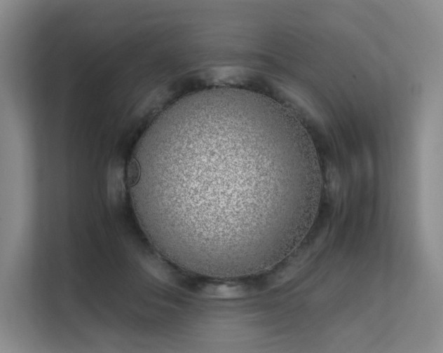 X0000111530506200907211247