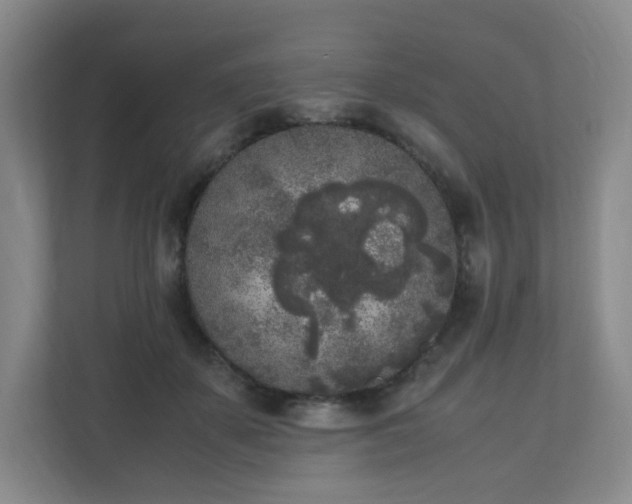 X0000111530507200907211247