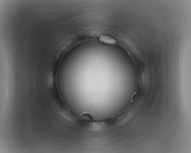 X0000111530508200907211247