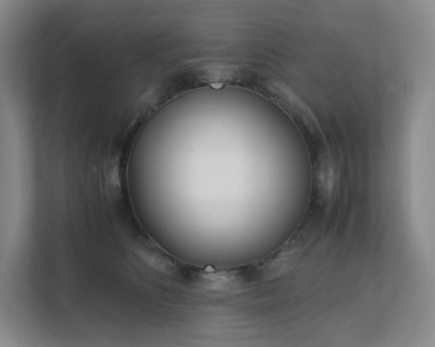 X0000111530516200907211247