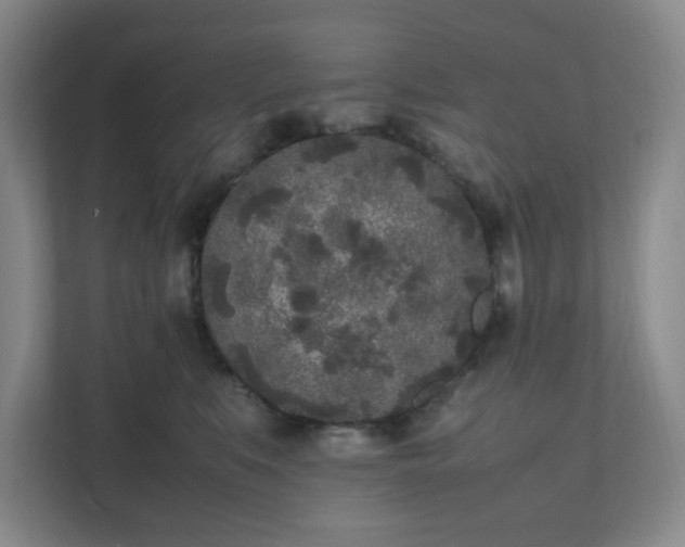 X0000111530519200907211247