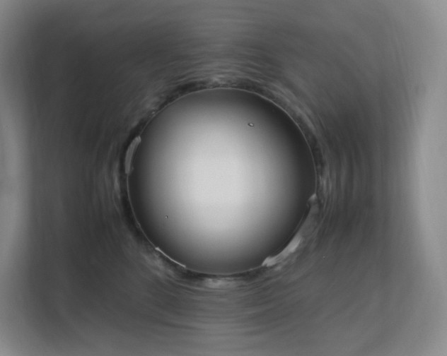 X0000111530520200907211247