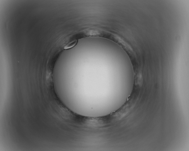 X0000111530521200907211247