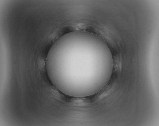 X0000111530523200907211247