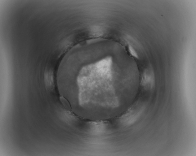 X0000111530524200907211247