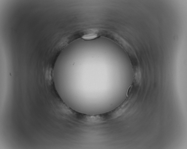 X0000111530525200907211247