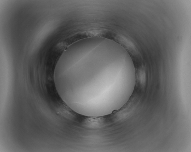 X0000111530526200907211247