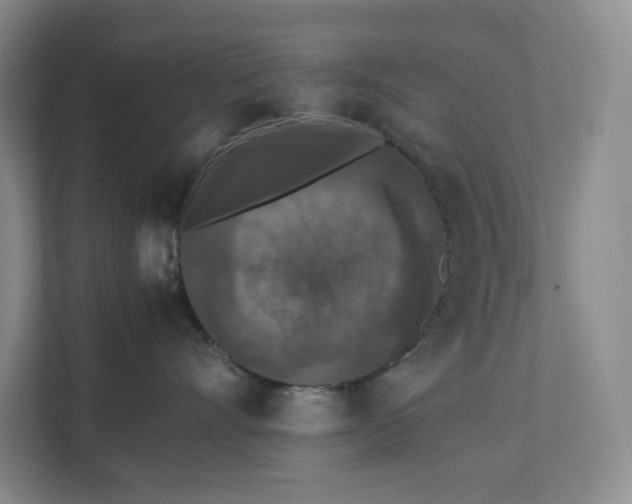 X0000111530528200907211247