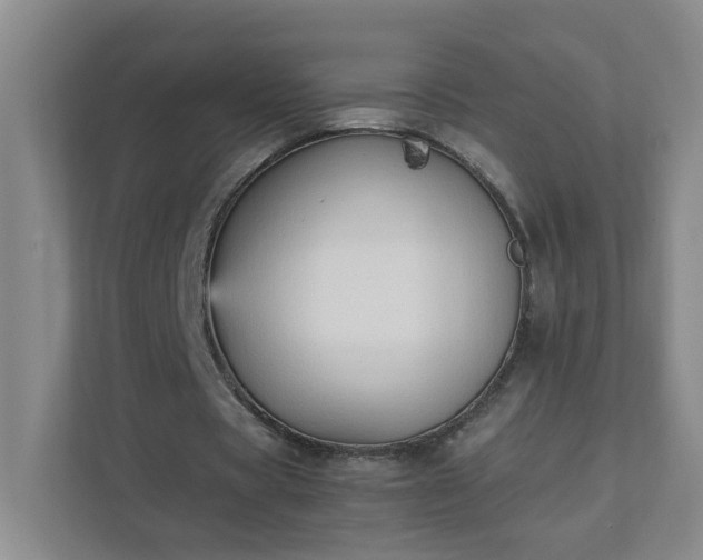 X0000111530529200907211246