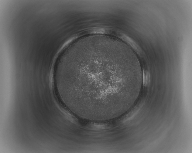 X0000111530531200907211246