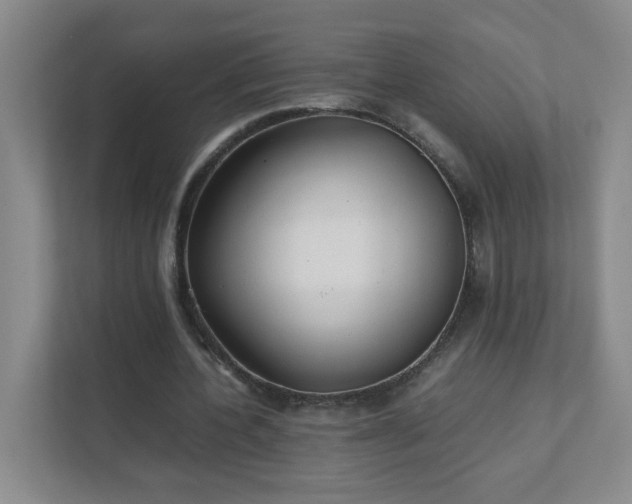 X0000111530532200907211246