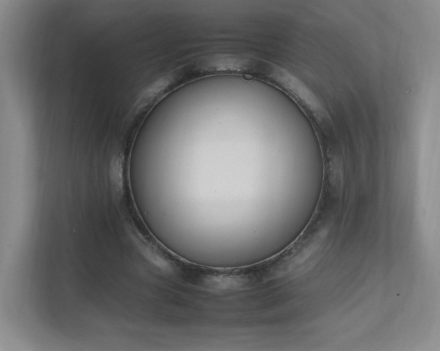 X0000111530537200907211246