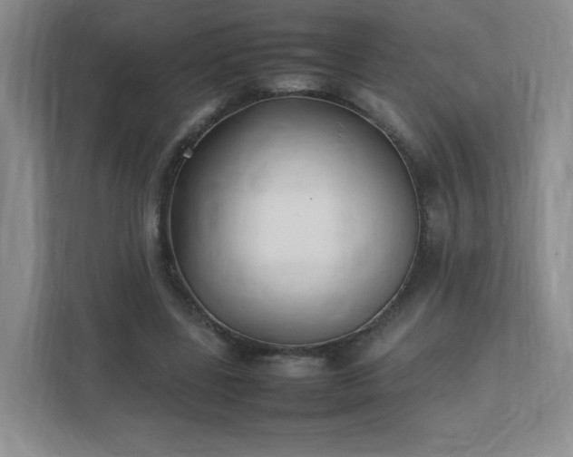 X0000111530539200907211246