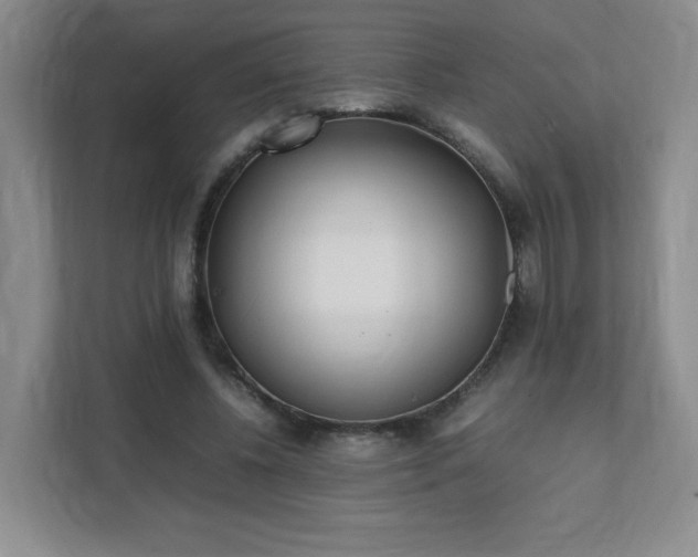 X0000111530540200907211246