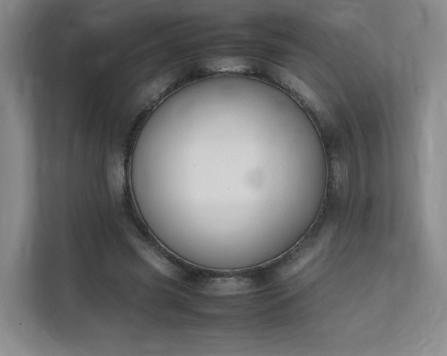 X0000111530541200907211246