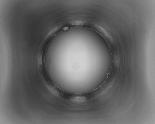 X0000111530543200907211246