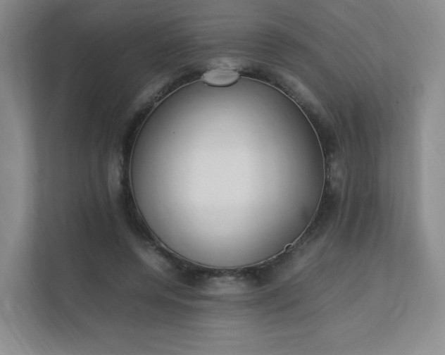 X0000111530544200907211246