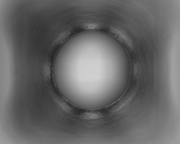 X0000111530545200907211246