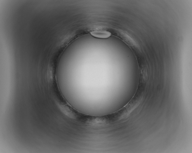 X0000111530546200907211246