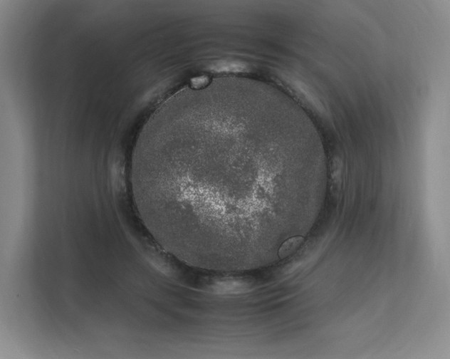 X0000111530547200907211246