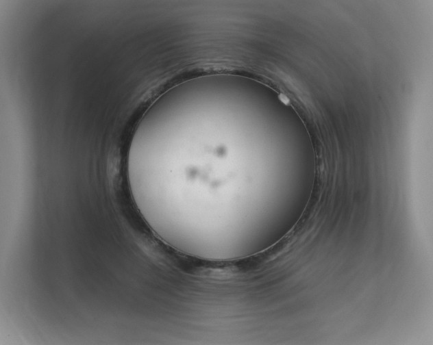 X0000111530548200907211246