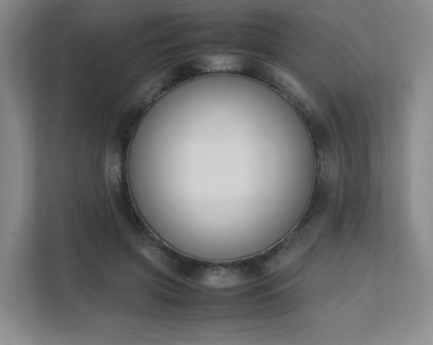 X0000111530549200907211246