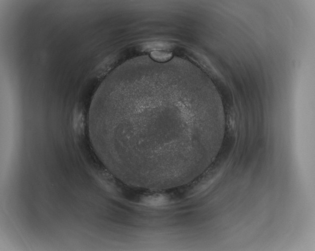 X0000111530551200907211247