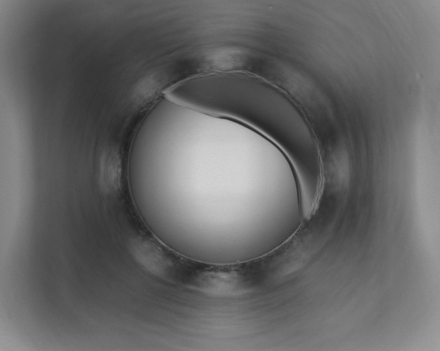 X0000111530552200907211247