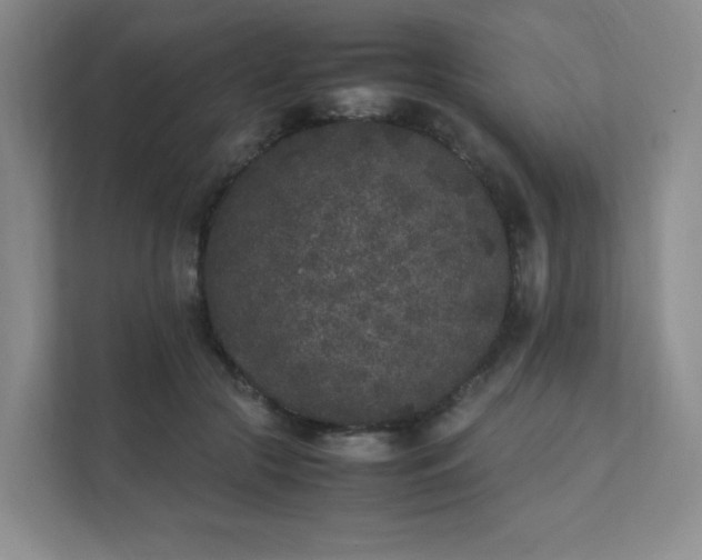 X0000111530553200907211247