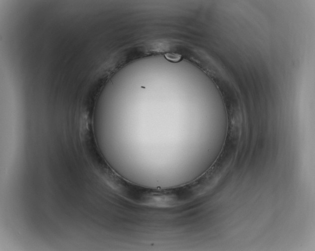 X0000111530555200907211247