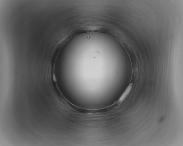 X0000111530556200907211247