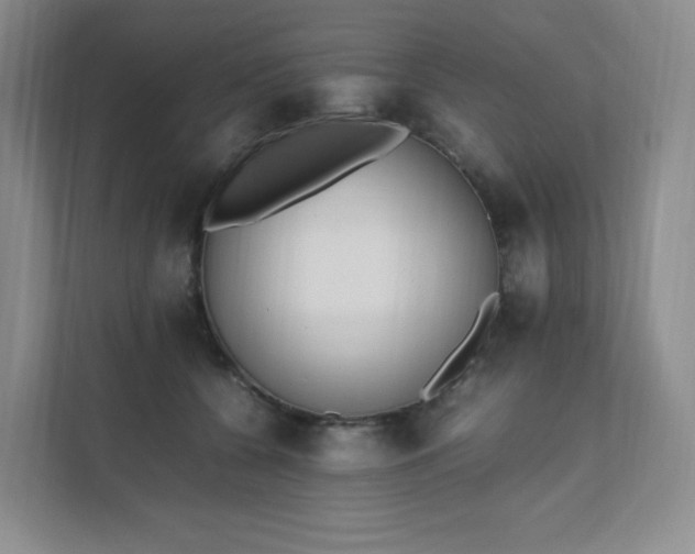 X0000111530560200907211247