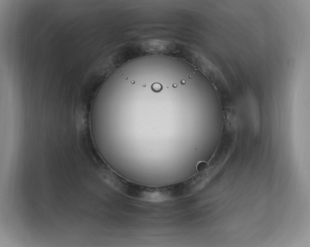 X0000111530561200907211247