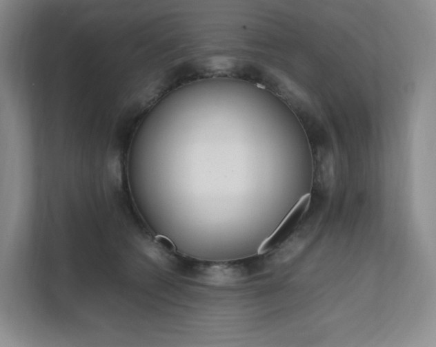 X0000111530562200907211247