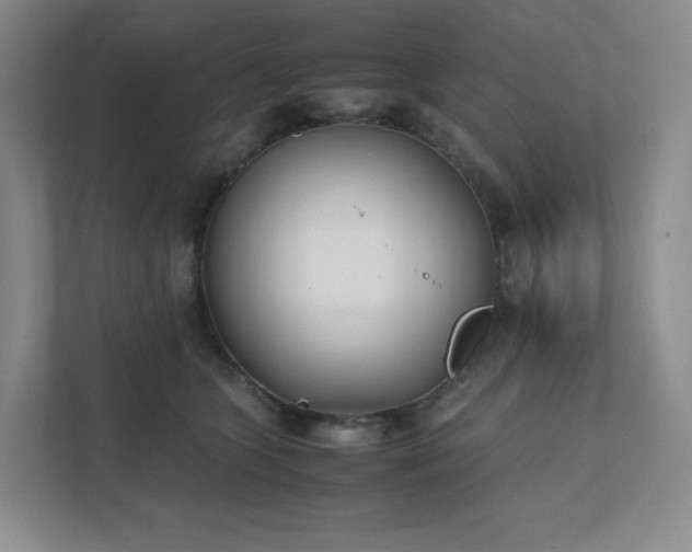 X0000111530563200907211247